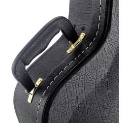 Ibanez AGS-C