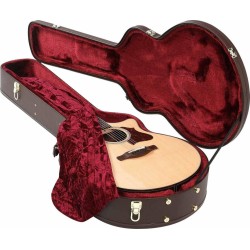 Ibanez AECDX