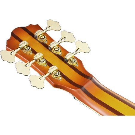 Ibanez TCB1006-ALM Autumn Leaf Burst Matte