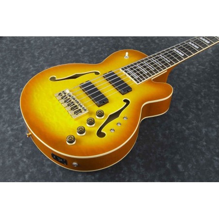 Ibanez TCB1006-ALM Autumn Leaf Burst Matte