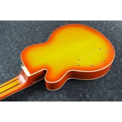 Ibanez TCB1006-ALM Autumn Leaf Burst Matte