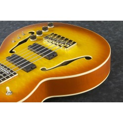 Ibanez TCB1006-ALM Autumn Leaf Burst Matte