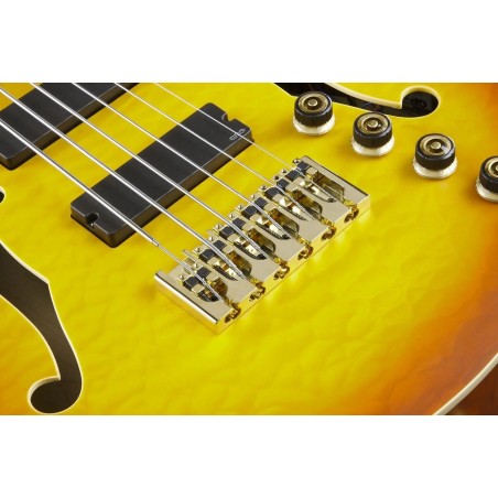 Ibanez TCB1006-ALM Autumn Leaf Burst Matte