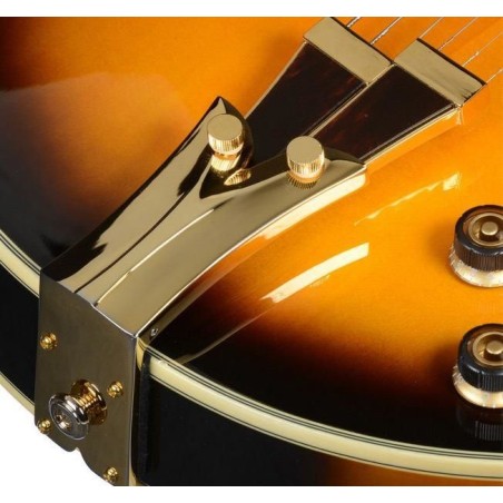 Ibanez GB10SE-BS Brown Sunburst