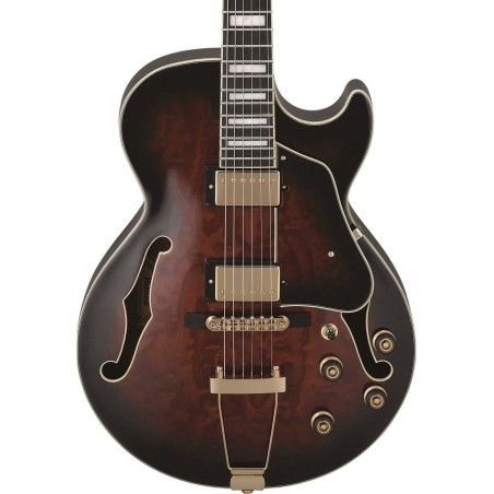 Ibanez AG95QA-DBS Dark Brown Sunburst