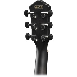 Ibanez AEWC400-TKS