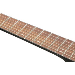 Ibanez AEWC400-TKS