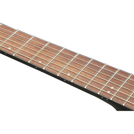 Ibanez AEWC400-TKS
