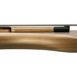 Ibanez GWB1005-NTF Fretless Con Custodia