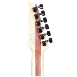 Ibanez PWM10
