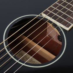 Ibanez TCY10E-BK