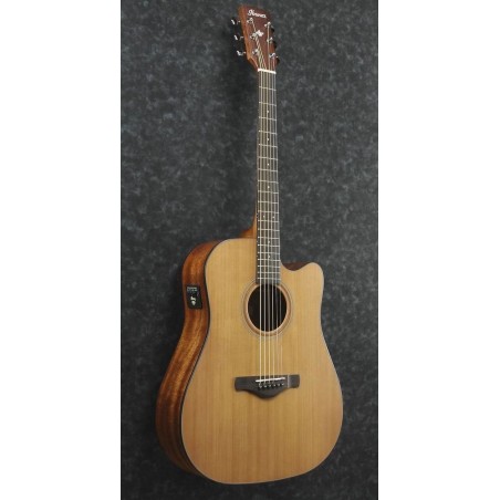 Ibanez AW65ECE-LG