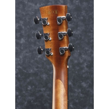Ibanez AW65ECE-LG