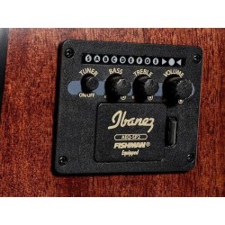 Ibanez AW65ECE-LG