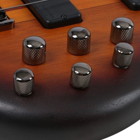 Ibanez SRF700-BBF Fretless