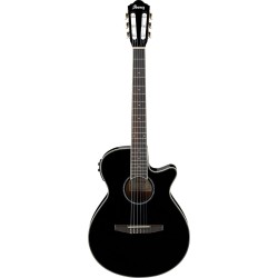 Ibanez AEG10NII-BK