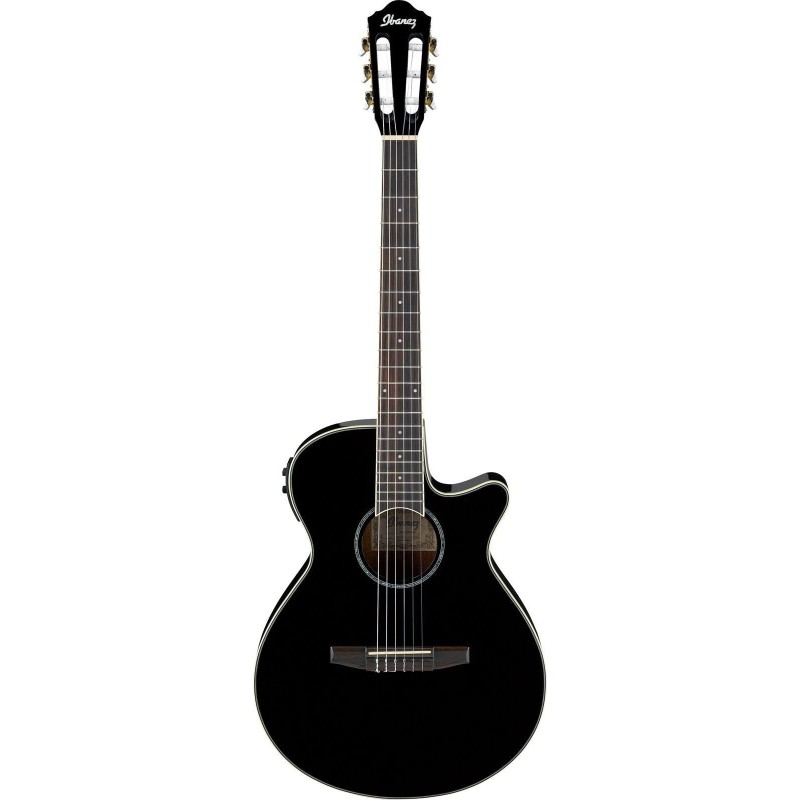 Ibanez AEG10NII-BK