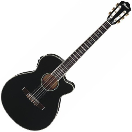 Ibanez AEG10NII-BK