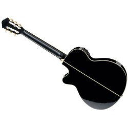 Ibanez AEG10NII-BK