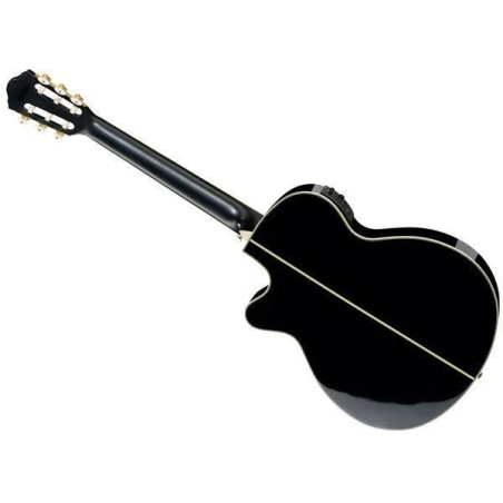 Ibanez AEG10NII-BK