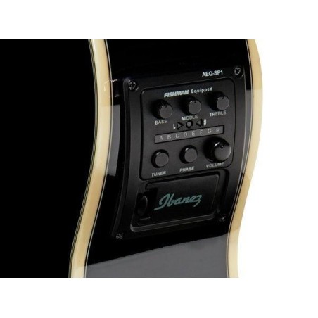 Ibanez AEG10NII-BK