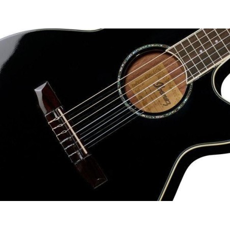 Ibanez AEG10NII-BK