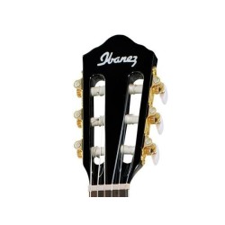 Ibanez AEG10NII-BK