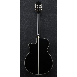Ibanez AEG10NII-BK