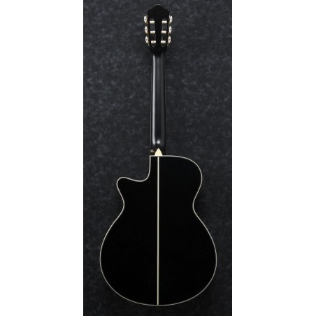 Ibanez AEG10NII-BK