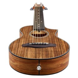 Ibanez EWP14WB-OPN Open Pore Natural