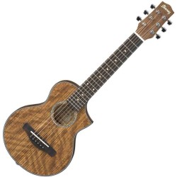 Ibanez EWP14WB-OPN Open Pore Natural