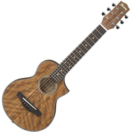 Ibanez EWP14WB-OPN Open Pore Natural