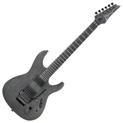 Ibanez PWM100