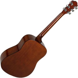 Ibanez V50NJP-NT Pack