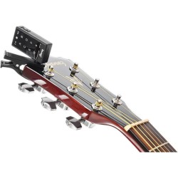Ibanez V50NJP-NT Pack