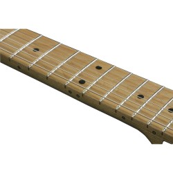Ibanez AZ224F-BTB
