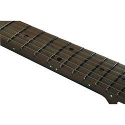 Ibanez AZ224F-BTB