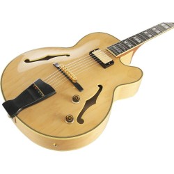 Ibanez PM200-NT Natural