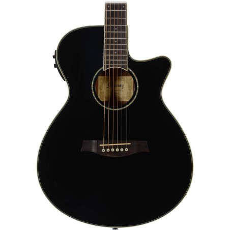 Ibanez AEG10II-BK