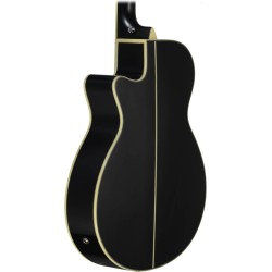 Ibanez AEG10II-BK