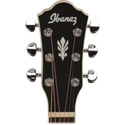 Ibanez AEG10II-BK