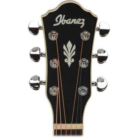 Ibanez AEG10II-BK