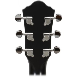 Ibanez AEG10II-BK