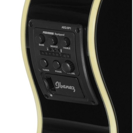 Ibanez AEG10II-BK