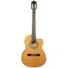 Ibanez GA5TCE-AM