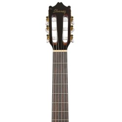 Ibanez GA5TCE-AM