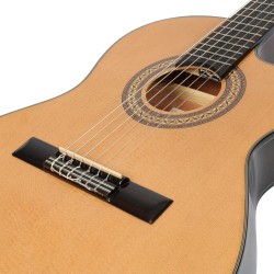 Ibanez GA5TCE-AM