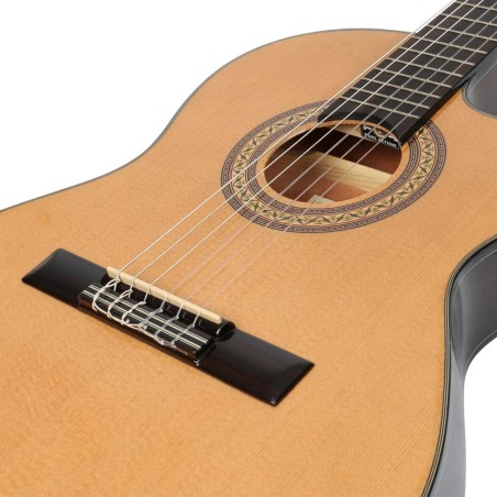 Ibanez GA5TCE-AM