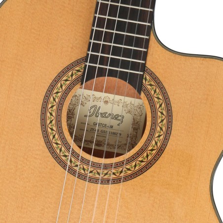 Ibanez GA5TCE-AM