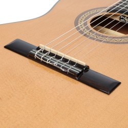 Ibanez GA5TCE-AM